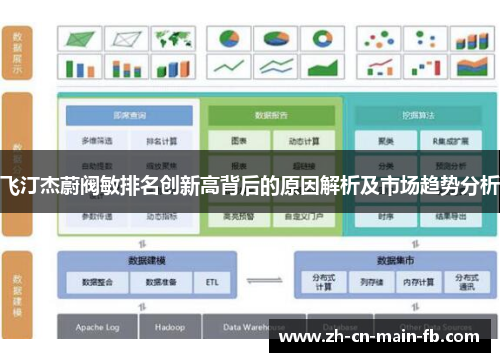 飞汀杰蔚阀敏排名创新高背后的原因解析及市场趋势分析 飞汀杰蔚阀敏排名创新高背后的原因解析及市场趋势分析