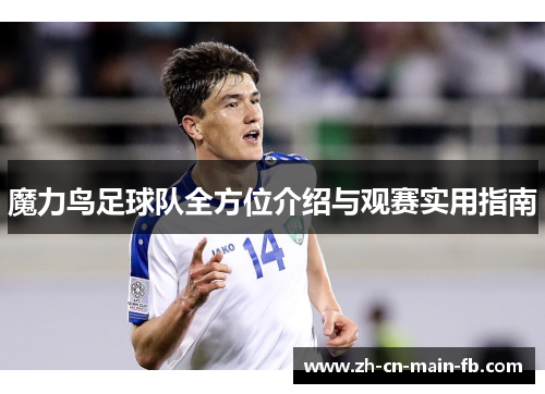 魔力鸟足球队全方位介绍与观赛实用指南