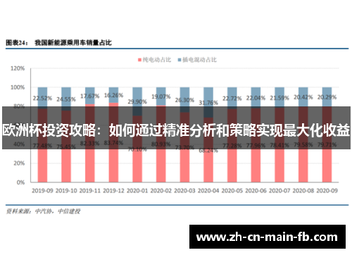 欧洲杯投资攻略:如何通过精准分析和策略实现最大化收益 欧洲杯投资攻略:如何通过精准分析和策略实现最大化收益