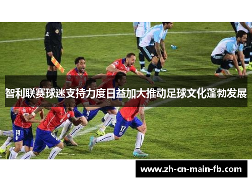 智利联赛球迷支持力度日益加大推动足球文化蓬勃发展