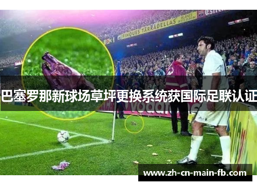 巴塞罗那新球场草坪更换系统获国际足联认证 巴塞罗那新球场草坪更换系统获国际足联认证
